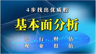 基本面分析基础入门/从宏观政策到财报估值逐一分析