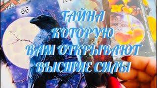 КАКУЮ ТАЙНУ ВАМ ХОТЯТ ОТКРЫТЬ ВЫСШИЕ СИЛЫ ⁉️ ИНФОРМАЦИЯ 1000% ‼️ | ТАРО РАСКЛАД