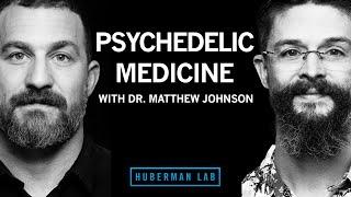 Psychedelics for Treating Mental Disorders | Dr. Matthew Johnson