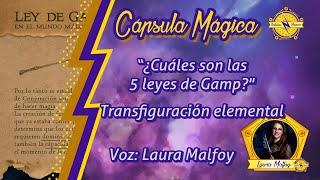 ¿Cuáles son las 5 Leyes de Gamp sobre Transfiguración Elemental?