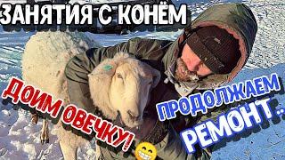 Болеем всей семьёй! Семён загулял.. ️ Начали ремонт в зале Овечье молоко первый раз в жизни