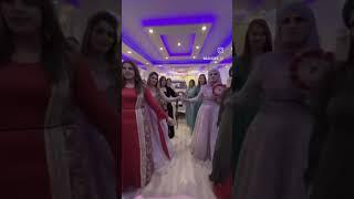 tango live tiktok live