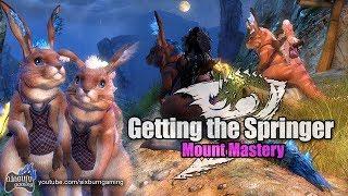 Guild Wars 2: How to Get the Springer Mount