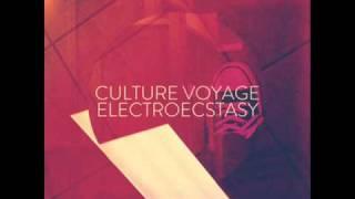 CULTURE VOYAGE: ELECTROESTASY