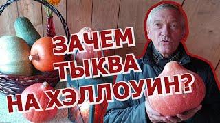 ЗАЧЕМ НУЖНА ТЫКВА НА ХЭЛЛОУИН?