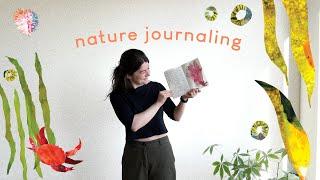 Sketchbook ideas | nature journaling, painting & collage