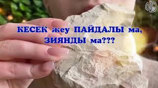 Топырақ жеуге бола ма? КЕСЕК жеген пайдалы ма, зиян ба?