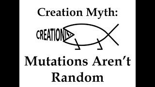 Creation Myth: Mutations Aren't Random