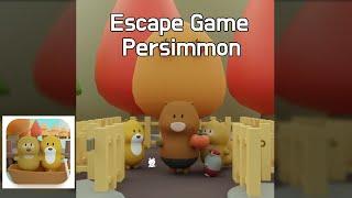 Escape Game Collection Persimmon Walkthrough (nicolet)