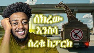 The Hangover ፊልም በእውነተኛ ታሪክ ፈፀሙት  ️  ድንቅ  እውነተኛ ታሪክ