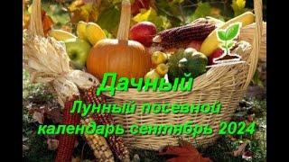 Лунный посевной календарь садоводов и огородников на сентябрь 2024 года