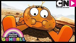 Gumball | Darwin Grows Legs! - The Origins Part 2 | Cartoon Network