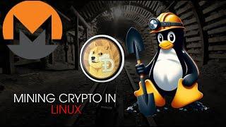 MINING MONERO AND DOGE COIN IN LINUX! A HOW TO GUIDE