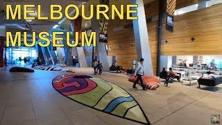 Visiting Melbourne Museum - Forest Secrets Gallery Tour Australia