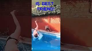 Dog is best friend!