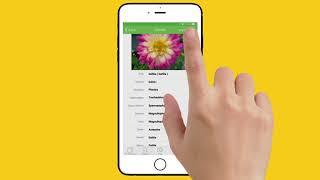 PlantSnap iPhone instructional video - landscape