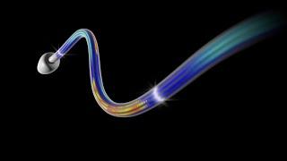 How Do Cilia and Flagella Move?