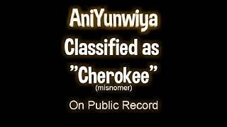 Aniyunwiya Classified as "Cherokee(misnomer)"