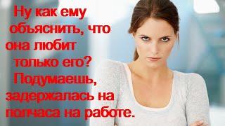 Ну как ему объяснить,что она любит только его? Подумаешь задержалась  на полчаса на работе ...