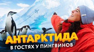 Антарктида: Самый необычный круиз. Как добраться на Южный полюс? Poseidon Expeditions на Sea Spirit