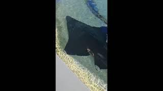 The Greying Nomads @ Sea World