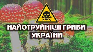 ТОП 10 Найотруйніших грибів України! Гриби України. ОБЕРЕЖНО! ОТРУЙНІ ГРИБИ!