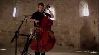 FLAMENCO ON UPRIGHT BASS