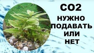 Кратко по СО2. Нужно подавать или нет?