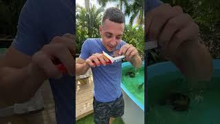 HOW TO FISH WITH CANDY