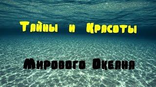 Мировой океан,его тайны и красоты!