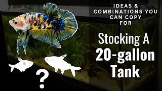 20 Gallon Stocking Ideas YOU CAN COPY!!