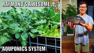 Raymond's Aquaponics System With Murray Cod & Aussie Bass