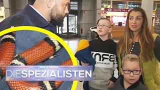 Giftige Schlange im Gepäck! Panik am Flughafen | Die Spezialisten | SAT.1