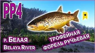 РР4 БЕЛАЯ ТРОФЕЙНАЯ ФОРЕЛЬ / RF4 BELAYA RIVER TROPHY BROWN TROUT