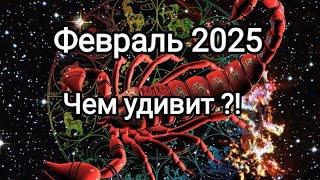 СКОРПИОН  ФЕВРАЛЬ 2025 Тароскоп