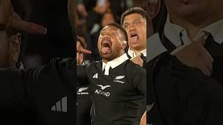 Powerful Haka in Wellington! #allblacks #haka #rugby