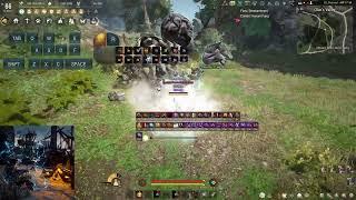 Succ Striker DPS Check | Solo Oluns