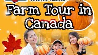 Farm Tour in Canada! ( Davison Orchard Counrtry Village)