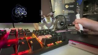 Singletap spaced streams liveplay