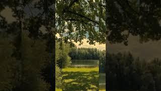 Positive Affirmations for Abundance & Self-Love | Attract with Kartiki#lawofattraction#kartikivibes
