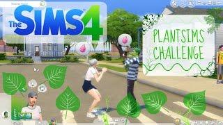 PLANTSIMS CHALLENGE | The Sims 4 Indonesia | SITI GREY EP. 3