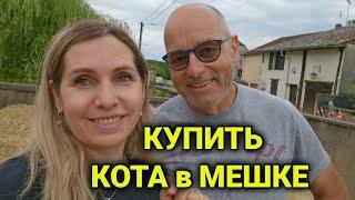 купить дом во Франции, как кота в мешке| скрытые дефекты