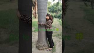 #tarot #nature #shorts #youtubeshorts #reels
