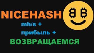 ВОЗВРАЩАЕМСЯ НА NICEHASH ХЕШРЕЙТ ВЫШЕ И ПРИБЫЛИ БОЛЬШЕ!