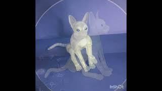 BJD Doll sphinx cat clear matte / БЖД шарнирная кукла кошка сфинкс полупрозрачная матовая