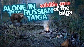 Extreme travel, alone in the Russian taiga, 55 km  of wild area