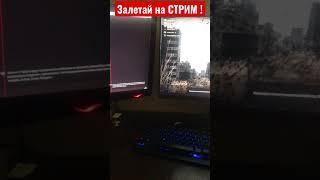 Стрим #stream #леший #стрим #stalker #dayz #сталкер #рп #gaming
