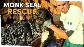 Our unexpected Monk Seal rescue | VLOG