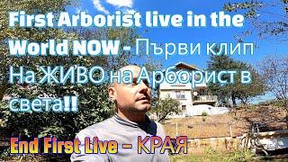 End first Arborist Live - Финална част на живото рязане #live