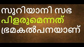 മെത്രാന്മാരുടെ സിനഡിനോടു പറയാനുള്ളത്, വെറുമൊരു ഭ്രമകൽപനയാണു സഭ പിളരുമെന്നത്.